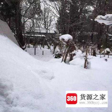 下雪天注意事项