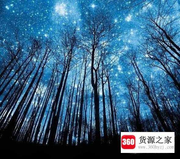 办夜被困在山上应该怎么办？