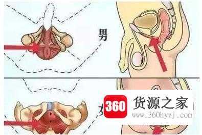 怎么正确锻炼pc肌