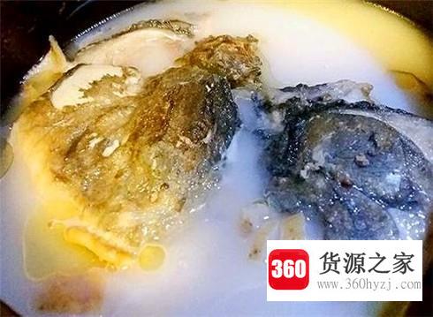 清炖鱼头汤最佳做法