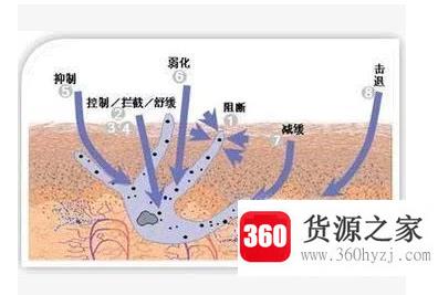 使用烟酰胺长毛是真理还是谬误