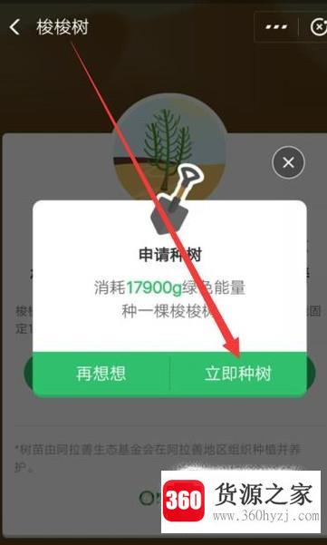 支付宝怎么种树