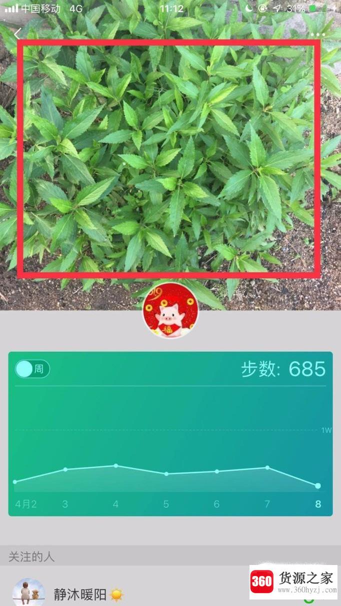 怎么设置微信运动主页的背景图片？