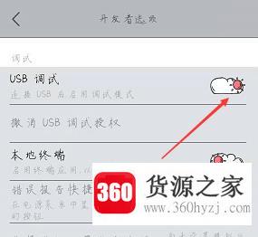 vivo手机怎么开启usb