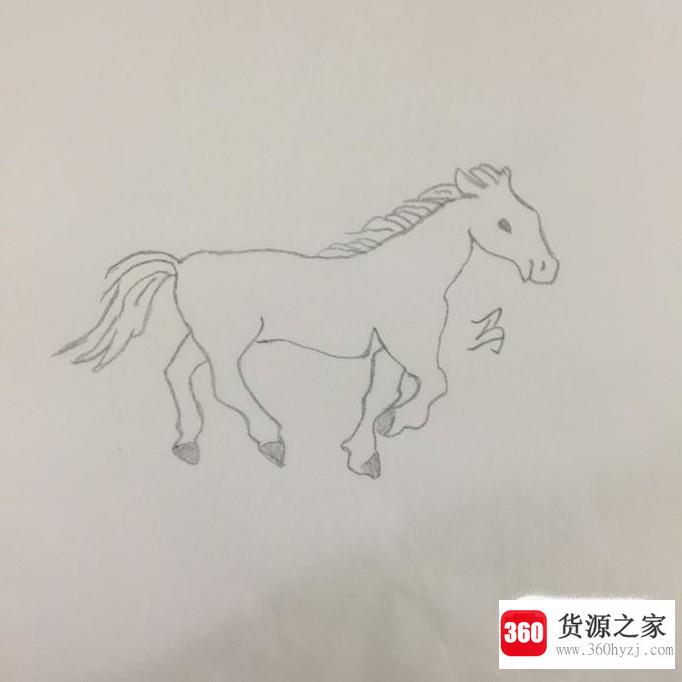 简笔画：生肖可爱马的画法