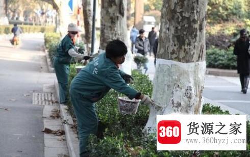 怎样让花草树木过冬