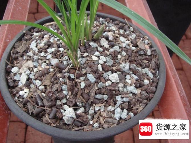 兰花怎么养：兰花植料配比--树皮篇