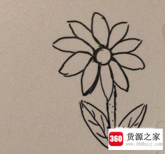 儿童简笔画大全之菊花简笔画