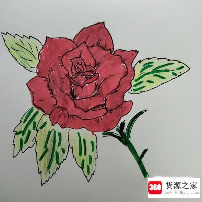 简笔画玫瑰花怎么画？