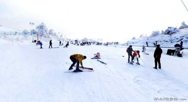 全球十大滑雪场排行