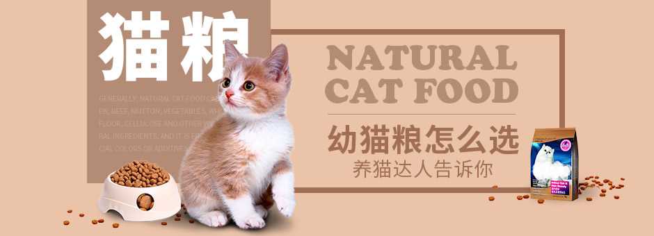 什么牌子猫粮好