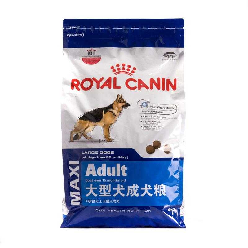 全球上最凶猛的犬种排名有哪些