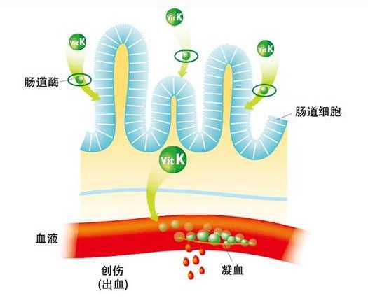 母乳喂养十大好处排行榜前十名