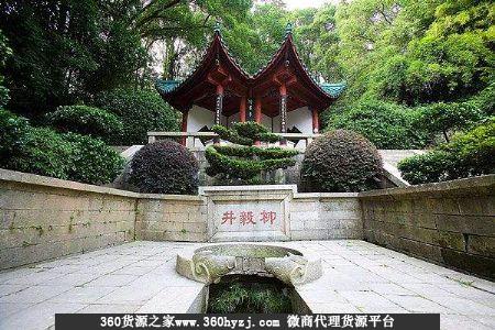 江阴君山公园花鸟市场