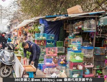 昆明北大门花鸟市场