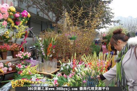 淮安承德路花鸟市场