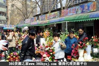 天津宝鸡东道花鸟鱼虫市场