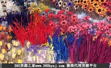 上海普陀区百盛花鸟市场