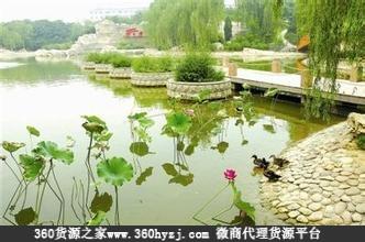 北京花卉