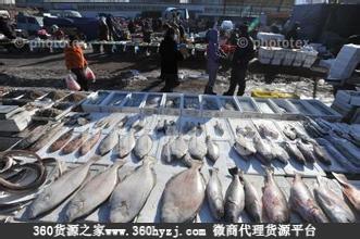 沈阳北大营海鲜市场