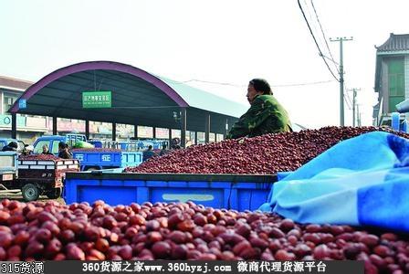 沧州红枣批发市场