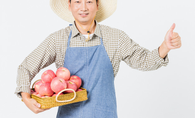 什么水果不分季节 苹果不分季节